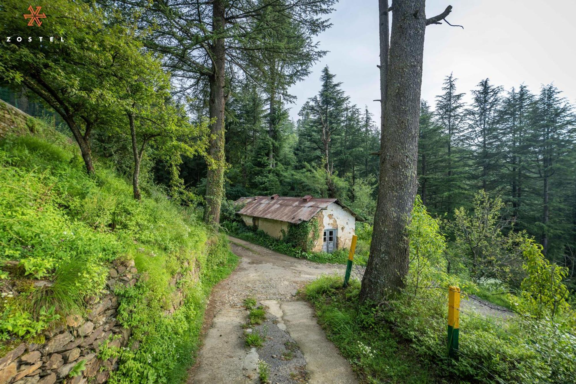 Zostel Kotgarh, Narkanda Exterior photo